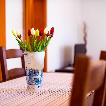 Apartmani Marina Klek Kültér fotó